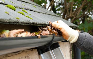 gutter cleaning Cranmore